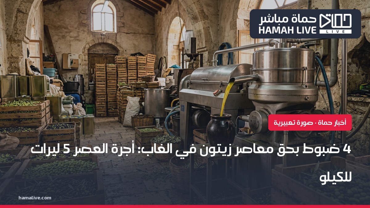صورة تعبيرية: معصرة زيتون وصناديق زيتون
