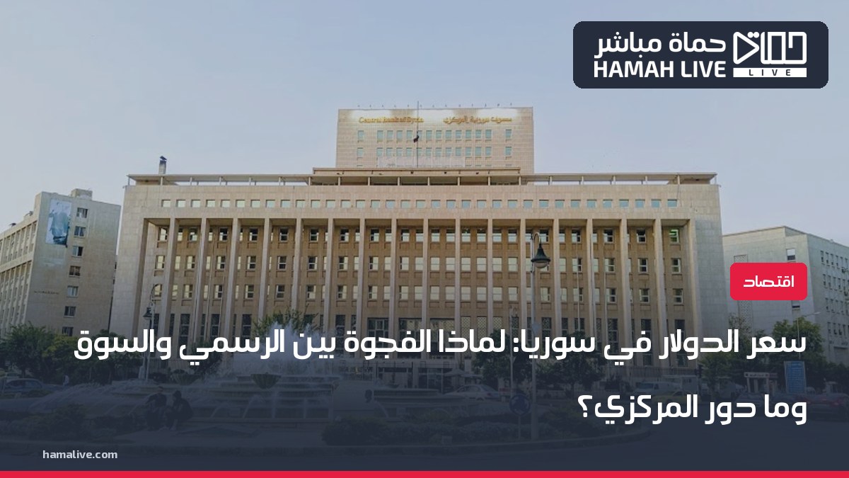 حماة مباشر